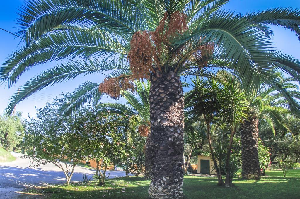 Olive Grove Apts Apartmán