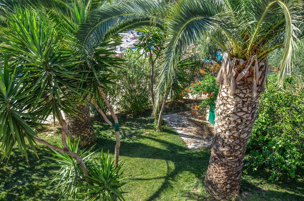 Apartmán Olive Grove Apts *