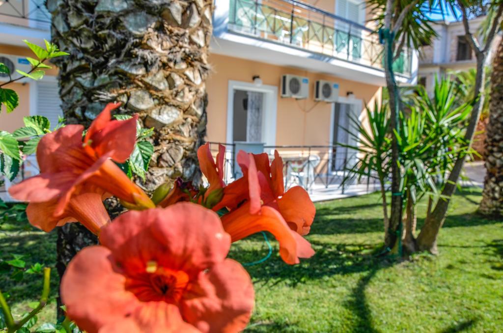 Olive Grove Apts Apartmán Lithakia (Zakynthos)